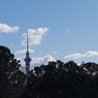 Auckland city's sky tower,