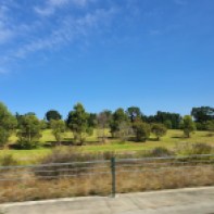 Trip to Flinders - rural outskirts of Melbourne